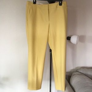 Loft Julie Dress pants